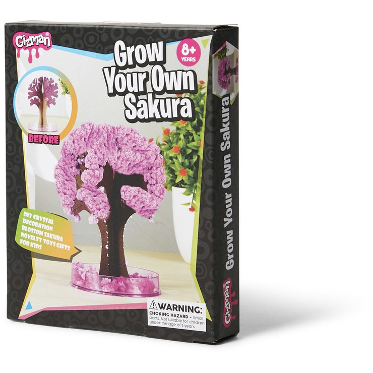 Gizman Grow Your Own Sakura /Suitable for Ages 8+ Years