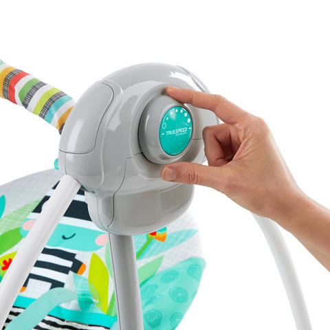 Bright Starts Zig Zag Zebra Portable Swing – TheITmart