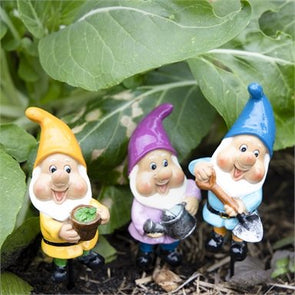 Tuscan Path Gnome Decorative Stake- Assorted/ 15cm Height