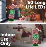 Arlec 1m 60 Warm White LED Hohoho Statue/Indoor & Outdoor Use