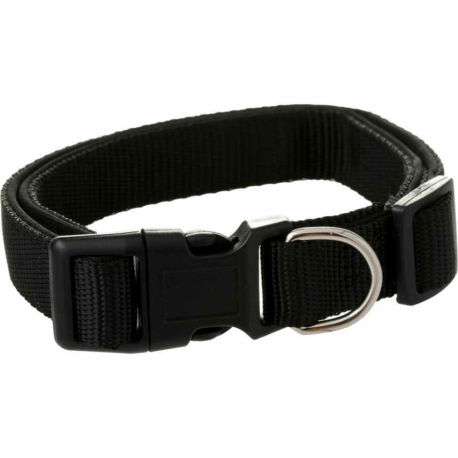 Brilliant Basics Medium Padded Dog Collar - Black - TheITmart