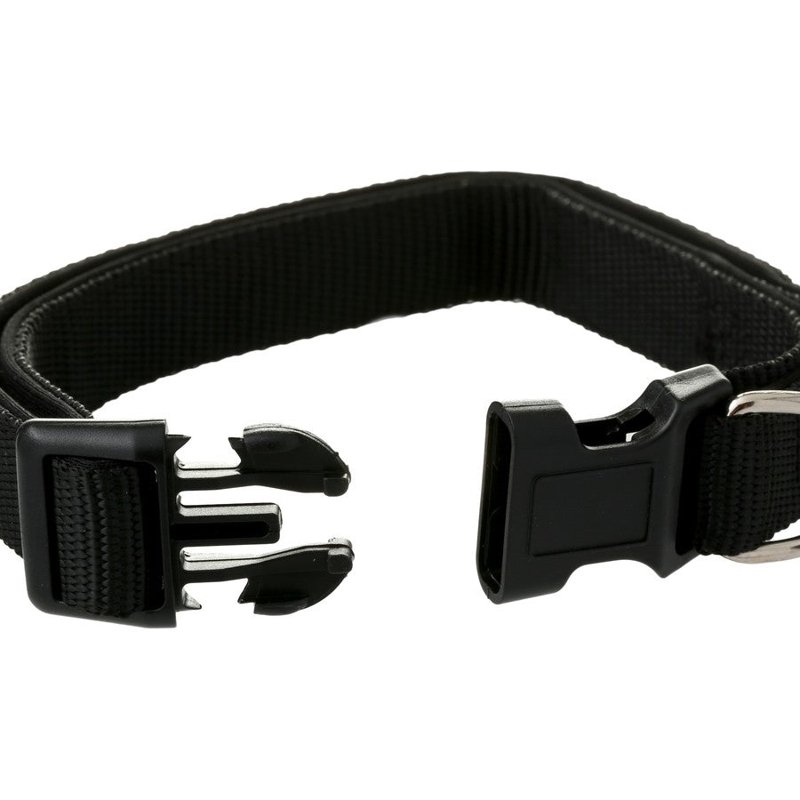 Brilliant Basics Medium Padded Dog Collar - Black - TheITmart