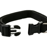 Brilliant Basics Medium Padded Dog Collar - Black - TheITmart