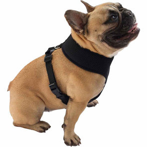 Brilliant Basics Medium Comfort Dog Harness - Black