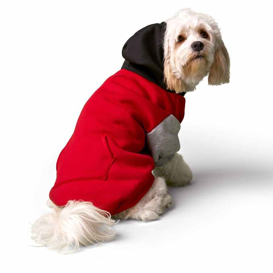 30cm Multicolour Pet Hoodie/Ideal Hoodie for Dog - TheITmart