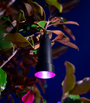 Holman 3W Hanging Tree Light 12V Waterproof IP67 RGB