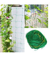 Nylon Plant Trellis Climbing Net – Garden Support for Cucumbers, Vines & Climbing Plants - TheITmart