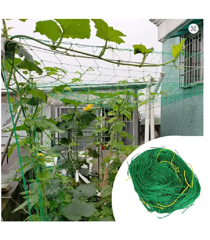 Nylon Plant Trellis Climbing Net – Garden Support for Cucumbers, Vines & Climbing Plants - TheITmart