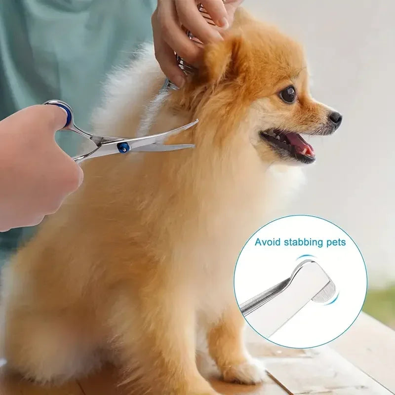 Ambidextrous Pet Safe Scissors- Stainless Steel Dog Grooming Shears with round Head for Precision Trimming-Pet Grooming - TheITmart