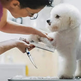 Ambidextrous Pet Safe Scissors- Stainless Steel Dog Grooming Shears with round Head for Precision Trimming-Pet Grooming - TheITmart