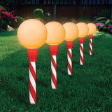 Lytworx RGB And Warm White Solar Ball Stake Lights - 5 Pack
