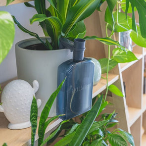 Holman Watermate 750mL Self Watering Tank / WM7501