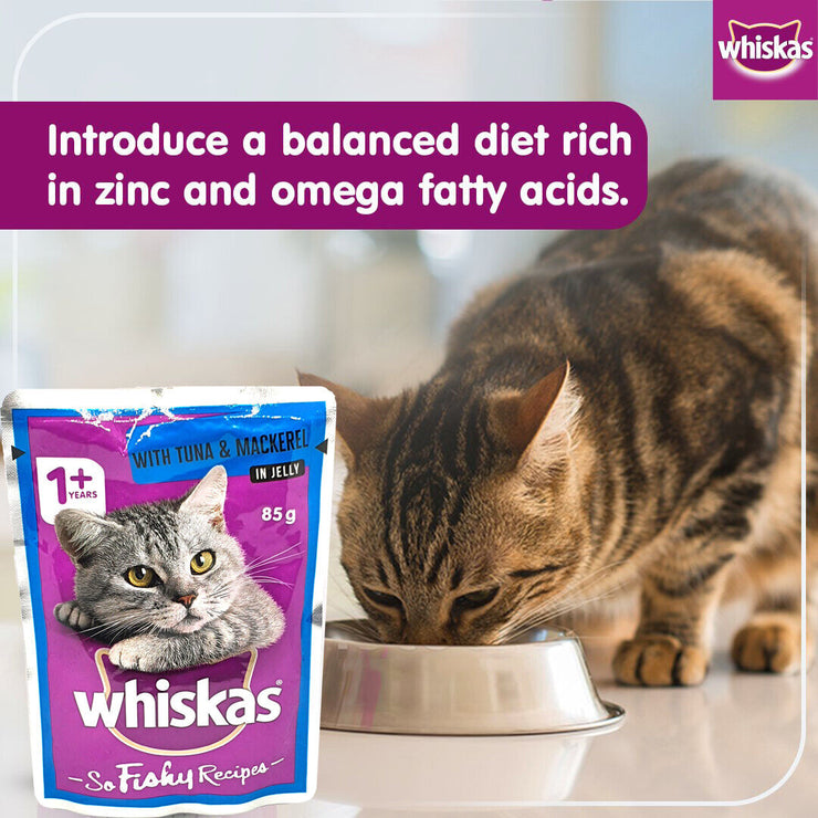 Whiskas So Fishy Recipes Ocean Platter in Jelly Wet Cat Food 12 x 85g