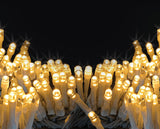 Mirabella Christmas 19.9m Low Voltage 250 LED String Lights - Warm White - TheITmart