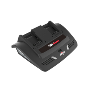 Briggs & Stratton 18V Twin Charger - Black - TheITmart