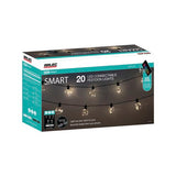 Arlec 20 Warm White Smart LED Low Voltage Connectable Festoon Lights - TheITmart
