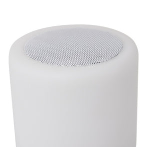 Bluetooth Party Speaker with 7 Colour LED Light