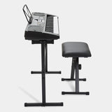 61 Keys Teaching-Type Electronic Keyboard With Stand & Stool - TheITmart