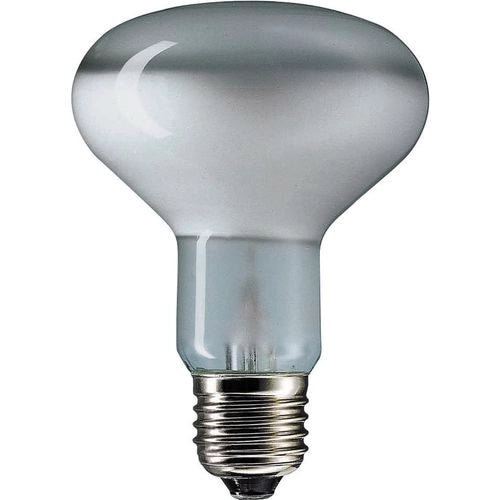 Philips R80 E27 Halogen 1080lm Clear 100W - 2 Pack