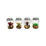 Click 13.5cm Succulent Glass Solar LED Light - TheITmart