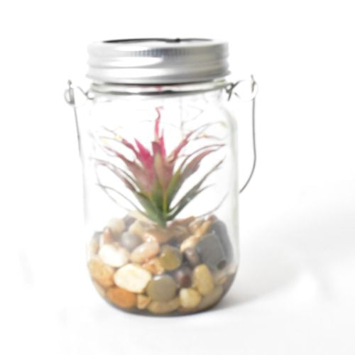 Click 13.5cm Succulent Glass Solar LED Light - TheITmart