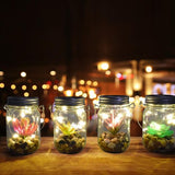 Click 13.5cm Succulent Glass Solar LED Light - TheITmart