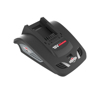 Briggs & Stratton 18V Charger - Black