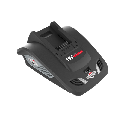 Briggs & Stratton 18V Charger - Black