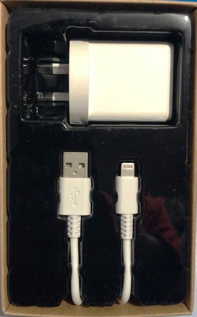 Lighting Cable With Wall Charger - TheITmart