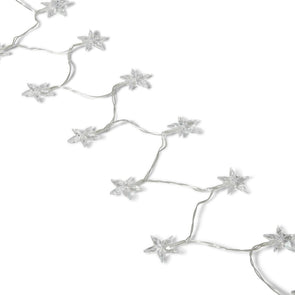 Mirabella Christmas Low Voltage 20 LED Star Light Set - Multicoloured