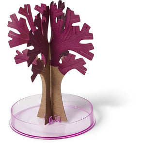 Gizman Grow Your Own Sakura /Suitable for Ages 8+ Years