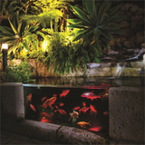 Holman RGB Colour Pond Light - 3 Pack - TheITmart