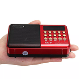 Digital MP3 Player FM Radio USB TF Slot 3W Mini Portable Red