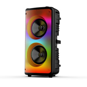 EKO 6.5 inch Party Speaker with 1 Wireless Microphone