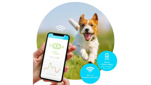 Petble SmartTag Smart Pet Health Tracker - Violet