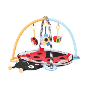 Activity Gym & Ball Pit for Ages 3+ months