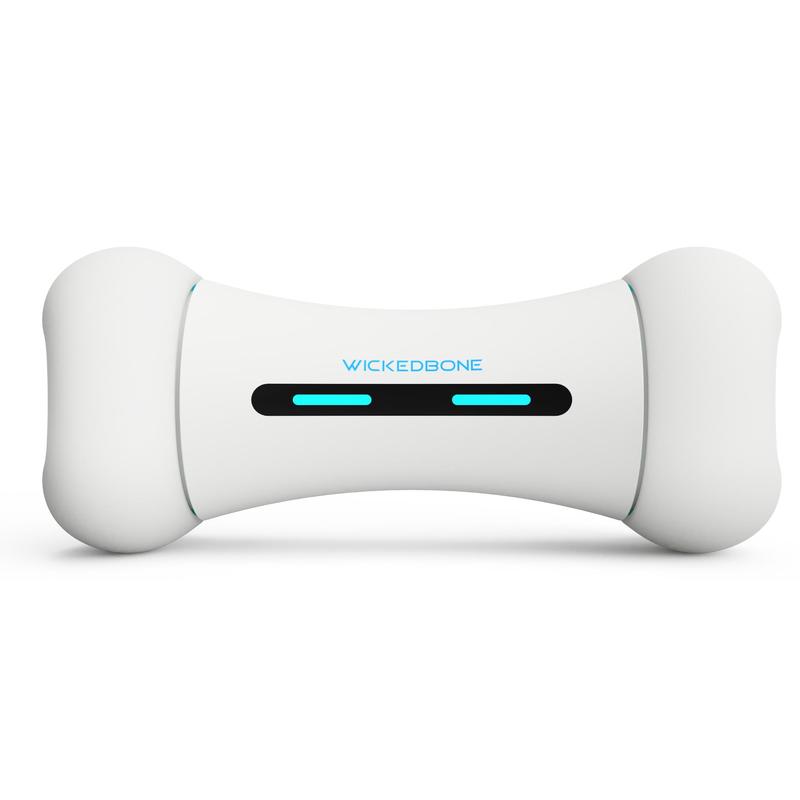Cheerble Wickedbone Smart Interactive Dog Toy - White
