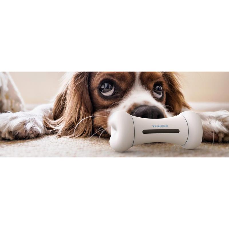 Cheerble Wickedbone Smart Interactive Dog Toy - White