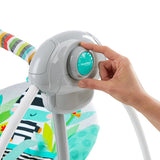 Bright Starts Zig Zag Zebra Portable Swing - TheITmart