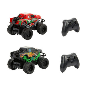 Radio Control Monster Truck - Assorted  Ages 8+ Years