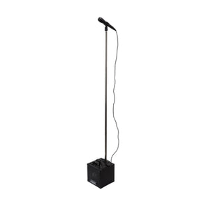 Bluetooth Portable Karaoke Machine - Black /Built-in rechargeable Lithium Battery