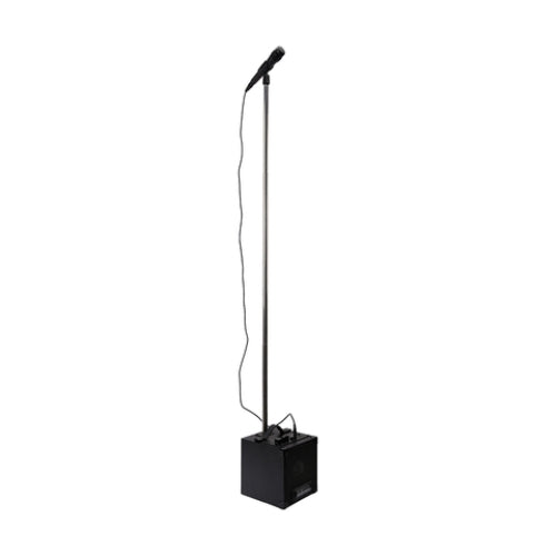 Bluetooth Portable Karaoke Machine - Black /Built-in rechargeable Lithium Battery