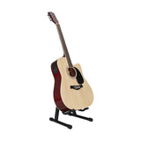 Acoustic Electric Guitar Pack - 21 frets