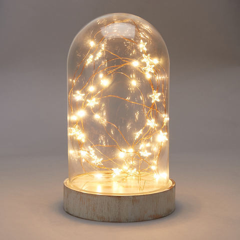 Battery Operated Glass Dome with Wire Lights