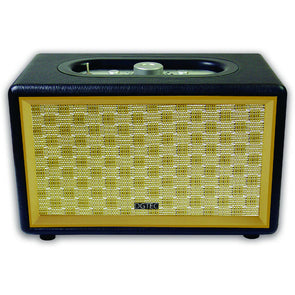 DGTEC Retro Speaker with Bluetooth/AUX/Integrated Stereo Speakers/24W RMS - TheITmart
