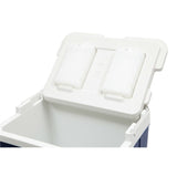Esky 26L Hard Chilla Cooler/Hinged lid/Folding Soft Grip Handle/Long Neck bottle - TheITmart