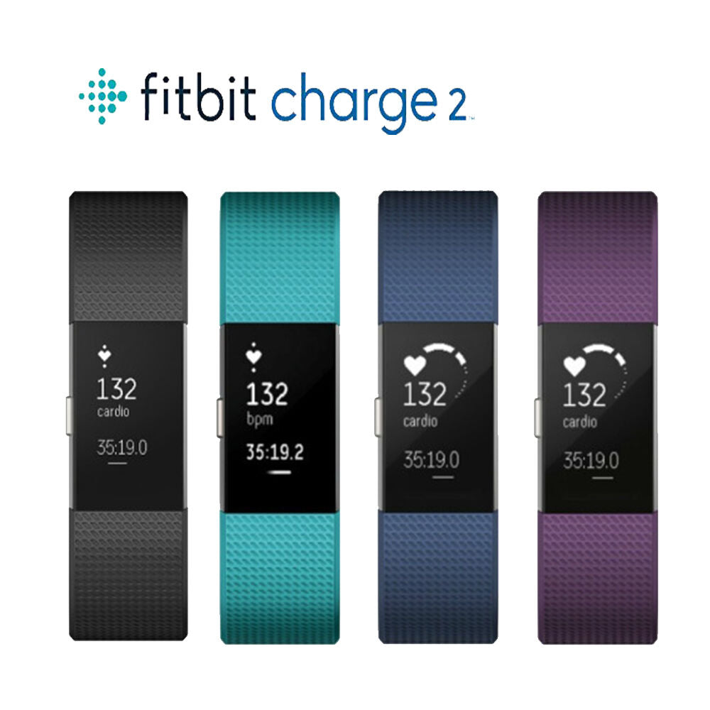 Fitbit Charge 2 HR Heart Rate Activity Tracker + Large Fitness Wristband Monitor - TheITmart