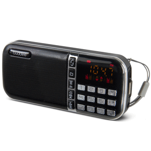 Buddee  AM/FM Radio Headphone Jack MP3 Player/Portable/TF/microSD/USB Drive - TheITmart