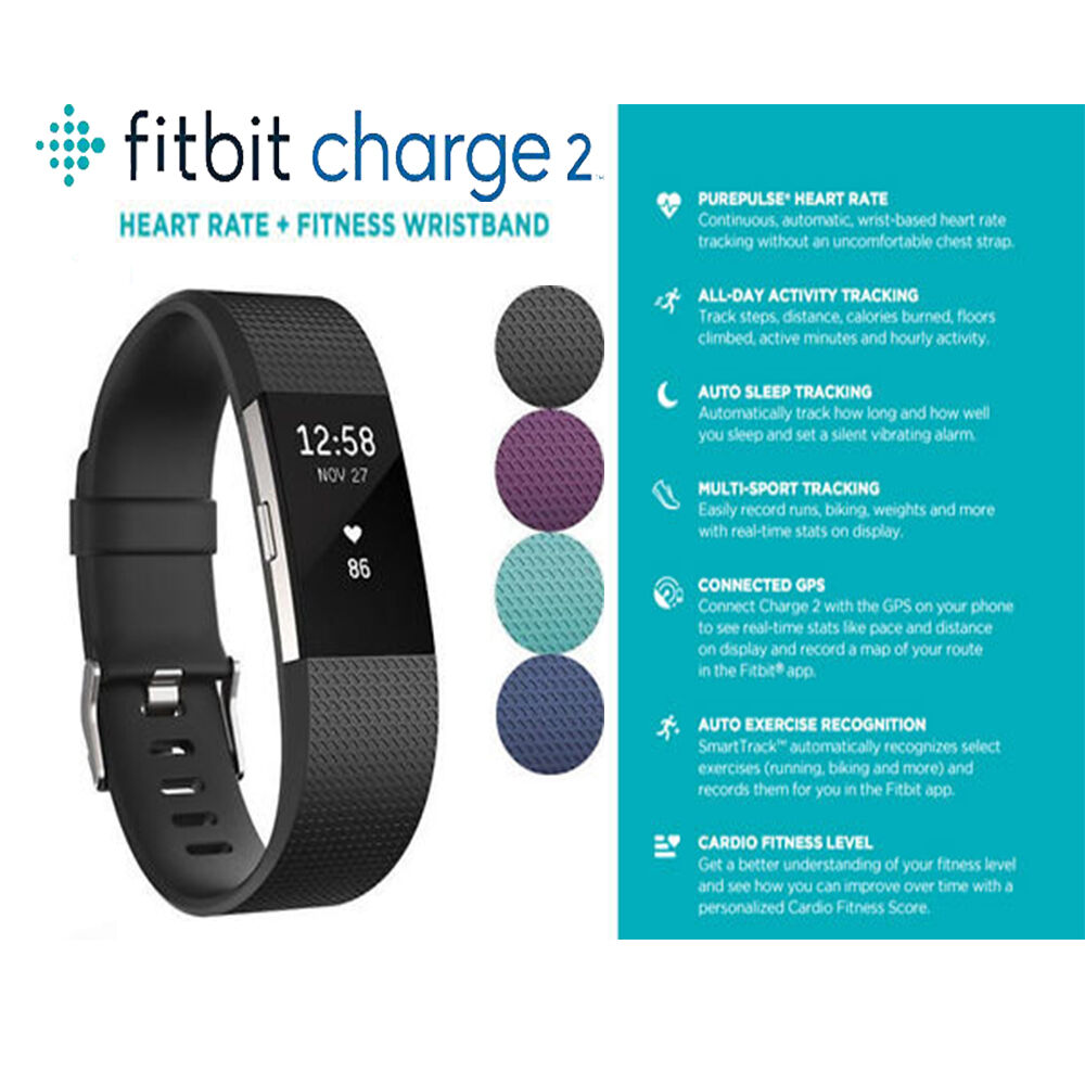 Fitbit Charge 2 HR Heart Rate Activity Tracker + Large Fitness Wristband Monitor - TheITmart