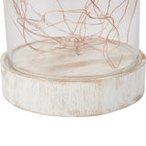 Battery Operated Glass Dome with Wire Lights